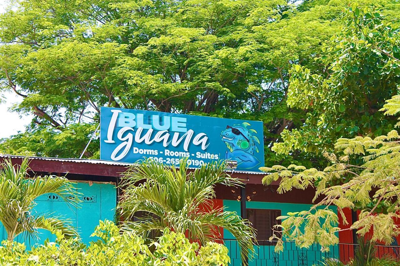 Blue Iguana Ξενοδοχείο Sámara Εξωτερικό φωτογραφία