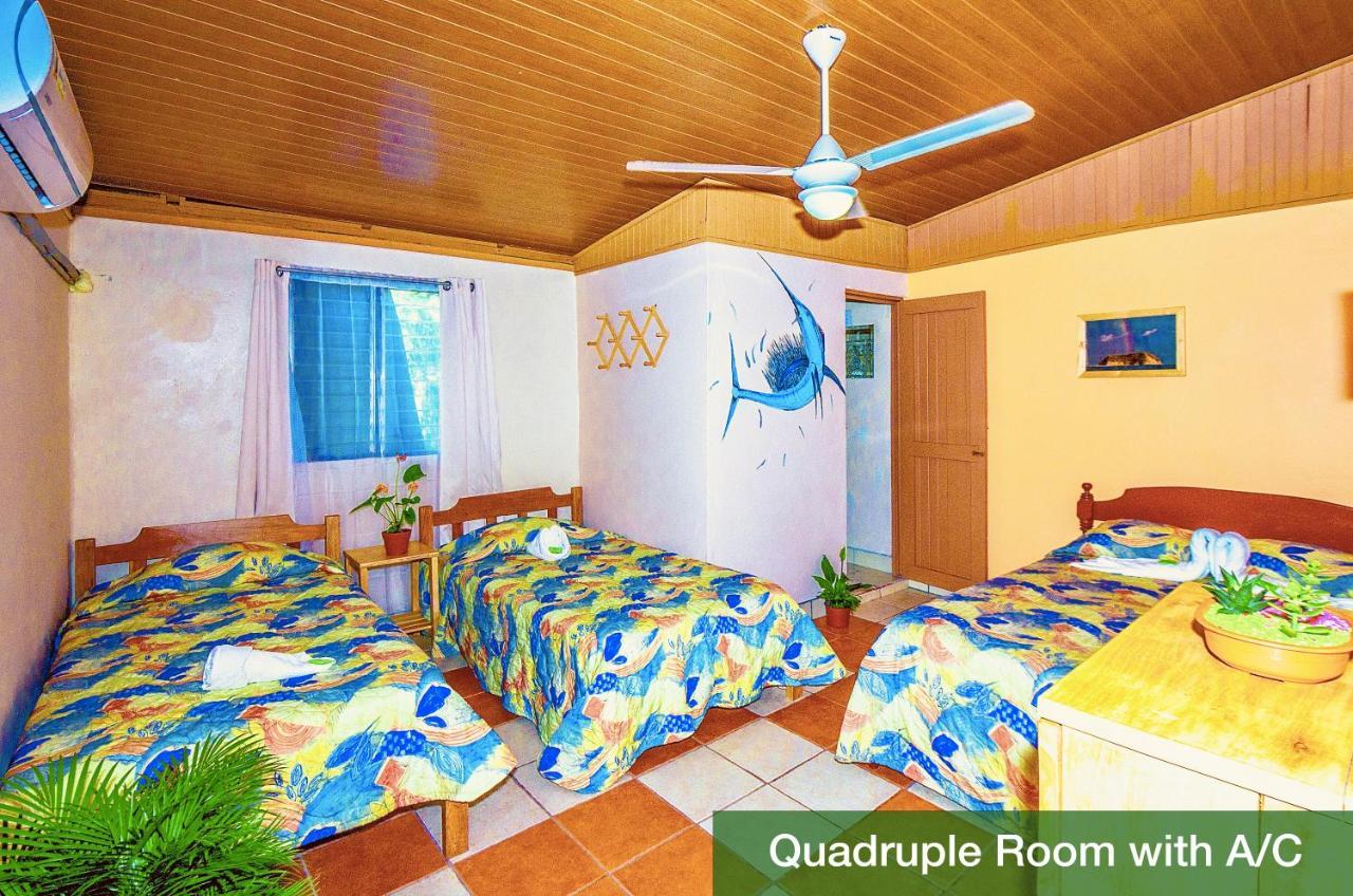 Blue Iguana Ξενοδοχείο Sámara Εξωτερικό φωτογραφία